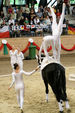 European Vaulting Championships 2007 2927549