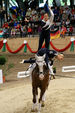 European Vaulting Championships 2007 2927564