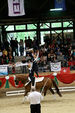 European Vaulting Championships 2007 2927566