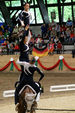 European Vaulting Championships 2007 2927567