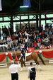 European Vaulting Championships 2007 2927570