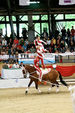 European Vaulting Championships 2007 2927600