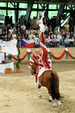 European Vaulting Championships 2007 2927604