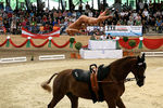 European Vaulting Championships 2007 2927683