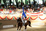 European Vaulting Championships 2007 2927707