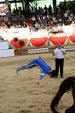 European Vaulting Championships 2007 2927709