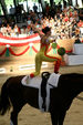 European Vaulting Championships 2007 2927715