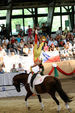 European Vaulting Championships 2007 2927718