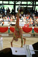 European Vaulting Championships 2007 2927720