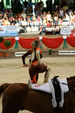 European Vaulting Championships 2007 2927726