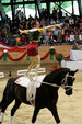 European Vaulting Championships 2007 2927798