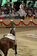 European Vaulting Championships 2007 2927805