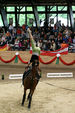 European Vaulting Championships 2007 2927828