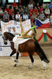 European Vaulting Championships 2007 2927831