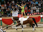 European Vaulting Championships 2007 2927833