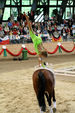 European Vaulting Championships 2007 2927837