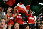 European Vaulting Championships 2007