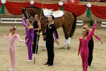 European Vaulting Championships 2007 2927974