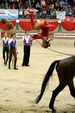 European Vaulting Championships 2007 2927986