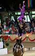 European Vaulting Championships 2007 2928032