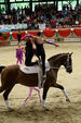 European Vaulting Championships 2007 2928040