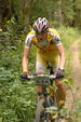 Reichramininger MTB Marathon 2939245