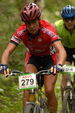 Reichramininger MTB Marathon 2939265