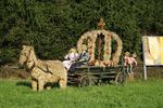 Bauernherbst Eröffnung in Dorfbäuern 2985427