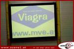 Viagra Party 303722