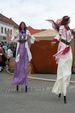 Mittelalterfest 2007 3037623