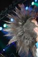 Summerrock´07 3060470