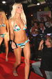 Wahl zur Miss Bikini Österreich 2007 3088681