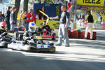 Cart Trophy Vienna 3089394