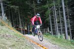 2. Zauberberg Downhill 3106238