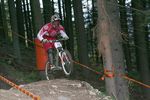 2. Zauberberg Downhill 3106257