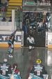 Eishockey EHL-OLJ 3124363