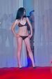 Wien´s nächstes Topmodel 3131761