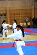 Karate Austrian Open 3139892