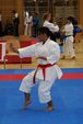 Karate Austrian Open 3139893