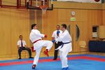 Karate Austrian Open