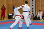 Karate Austrian Open 3139895