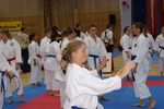 Karate Austrian Open 3139896