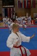 Karate Austrian Open 3139897