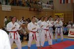 Karate Austrian Open 3139899