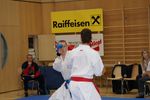 Karate Austrian Open 3139900