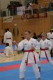 Karate Austrian Open 3139902