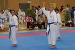 Karate Austrian Open 3139906