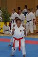 Karate Austrian Open 3139914