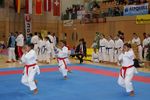 Karate Austrian Open 3139916