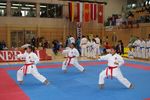 Karate Austrian Open 3139917